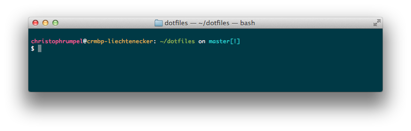 Customized Prompt