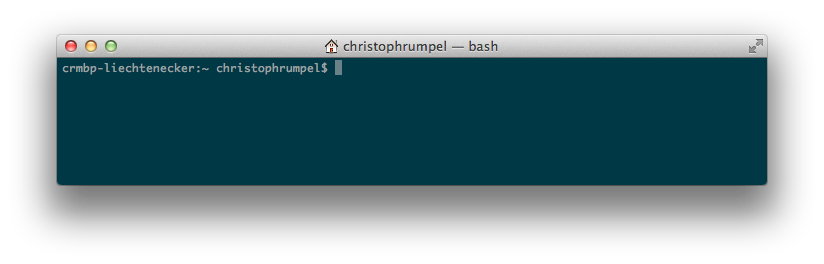 Standard Prompt